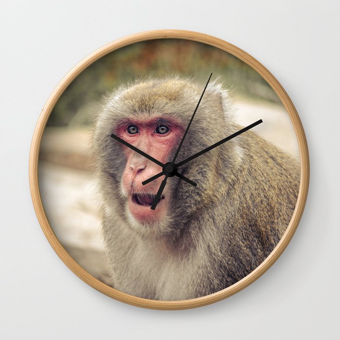 Japanese Snow Monkey Watching Lincoln Park Zoo Wall Clock