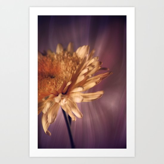 Calm Art Print
