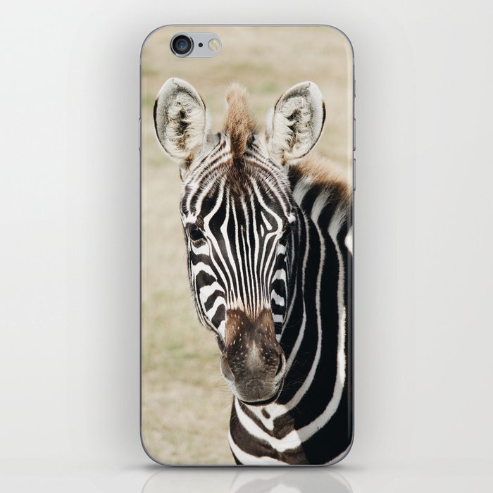 Zebra  iPhone Skin