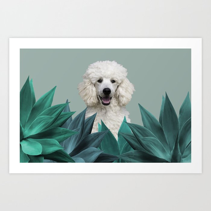 White Poodle Agave Cactus leaves Art Print