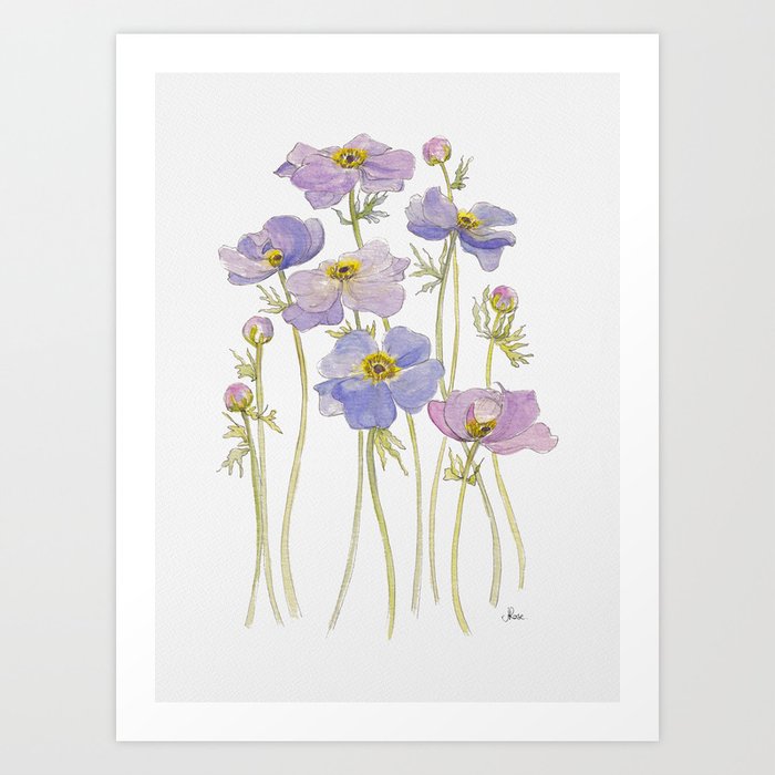 Lilac Anemone Flowers Art Print