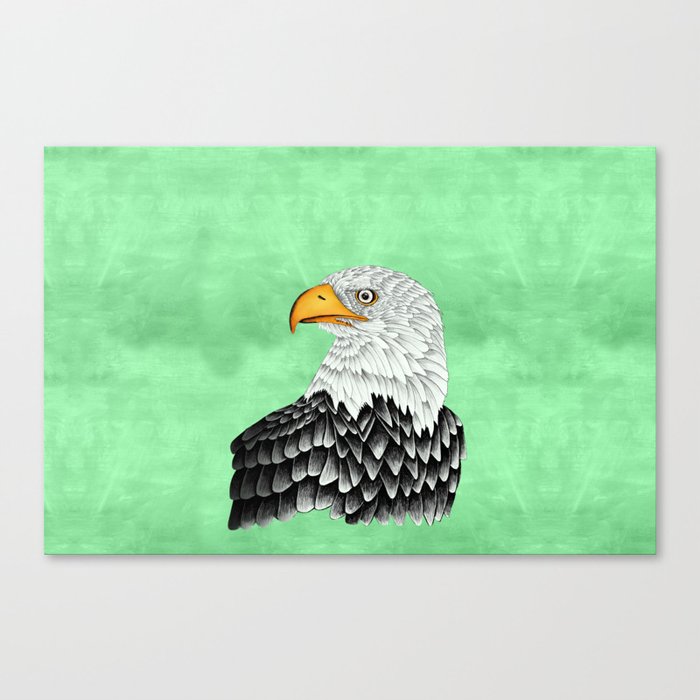 Bald eagle drawing Canvas Print
