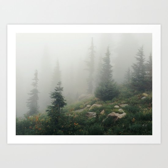 Mt Hood National Forest Art Print