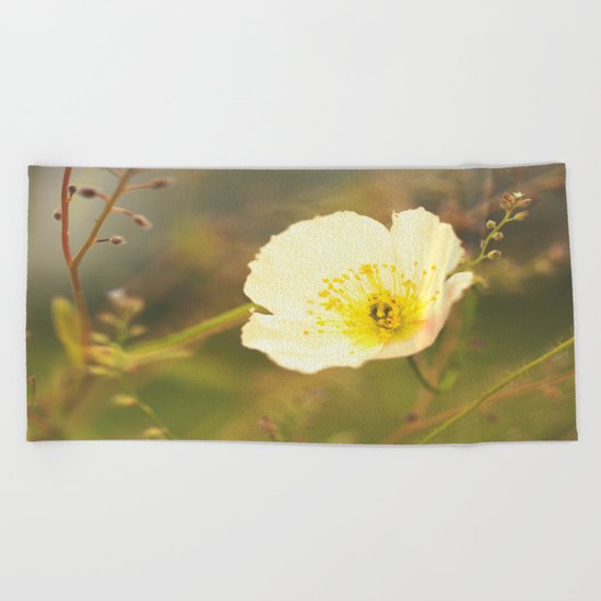Poppy in August Beach Towel
