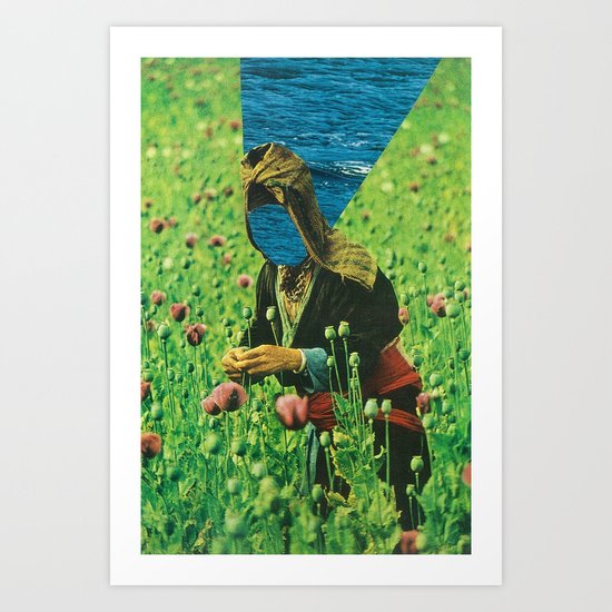field of tall poppies Art Print