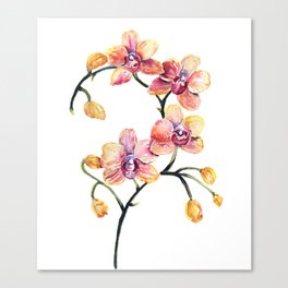 Orchid Fiesta Canvas Print