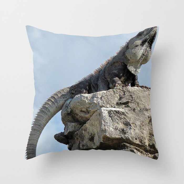 Mexico Photography - Majestic Iguana Standing On Rocks Throw Pillow