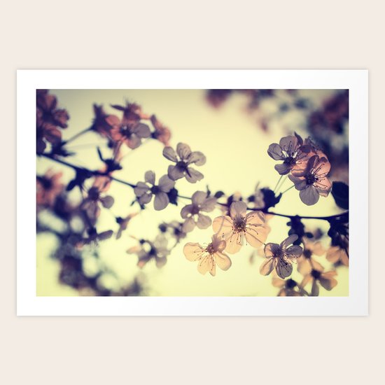 Spring light Art Print