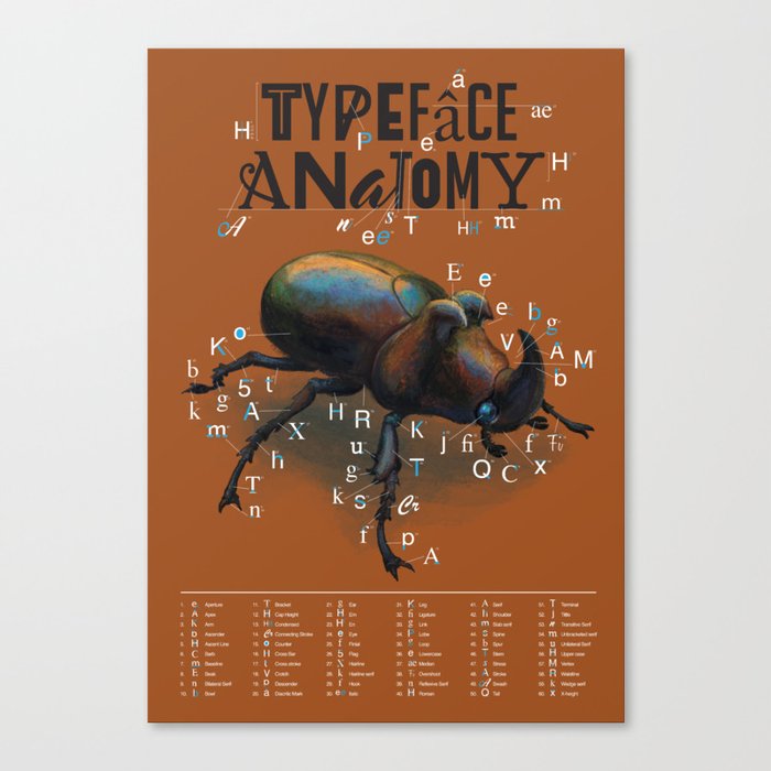 Typographic Anatomy Canvas Print
