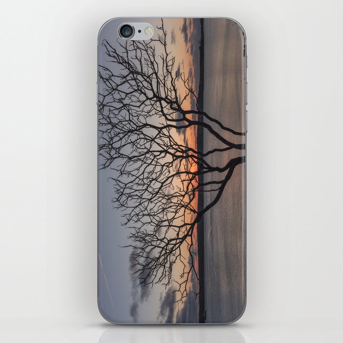 Sunset tree Niles Beach iPhone Skin