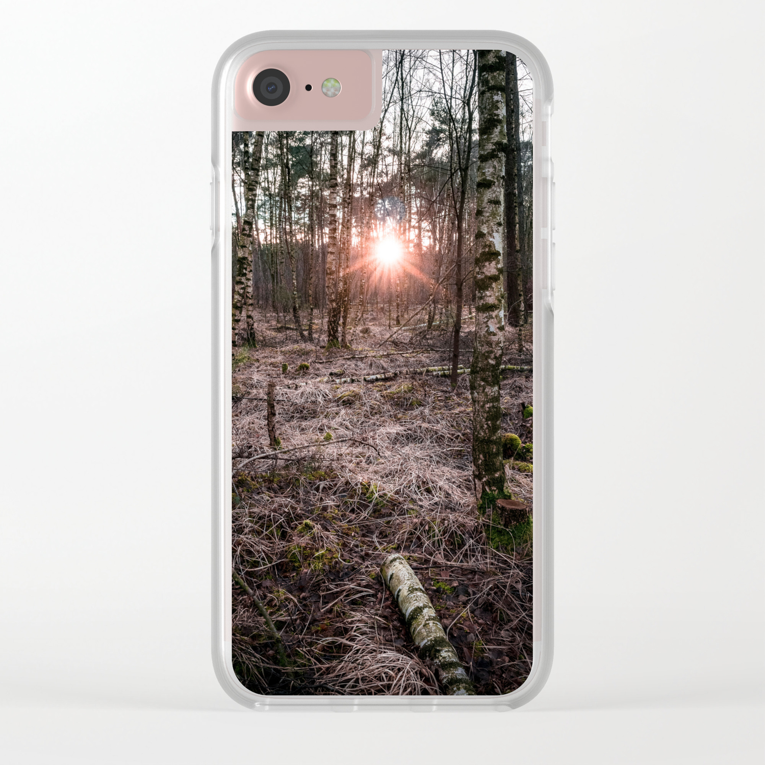 Forest Wood Sunset Winter Landscape Photography Nature Trees Netherlands Clear Iphone Case