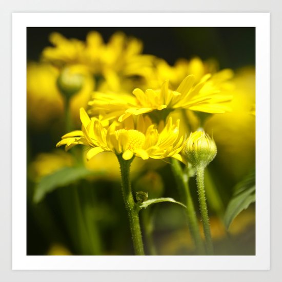 Flowers for Her! Art Print