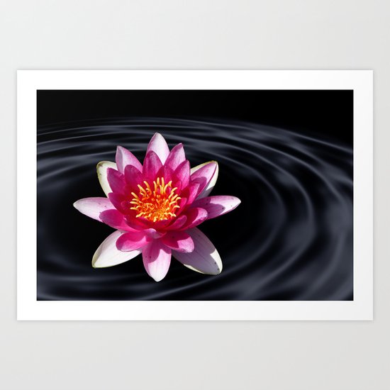 lotus flower Art Print
