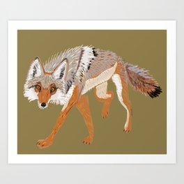 Totem Coyote Art Print