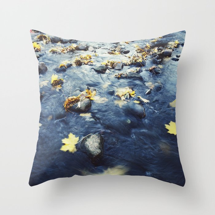 Autumn Leaves, Color Film Photo, Analog Throw Pillow