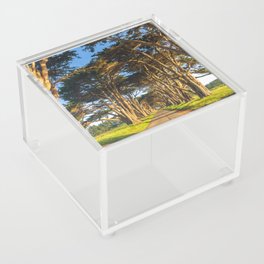 Monterey Cypresses  Acrylic Box
