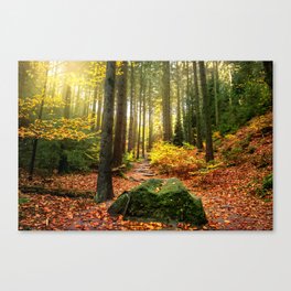 Path Through The Trees - Landscape Nature Photography Canvas Print