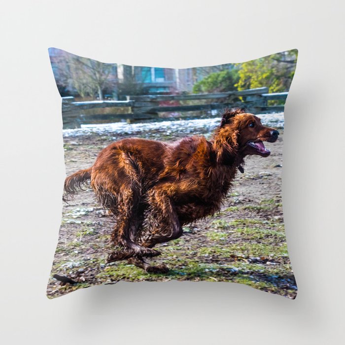 Irish throw top pillows
