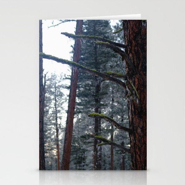 Stay Out of the Forest Stationery Cards