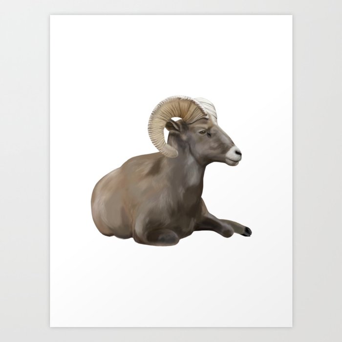 Lazy Ram Goat Art Print