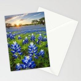 Central Texas Bluebonnets Sunrise Stationery Card
