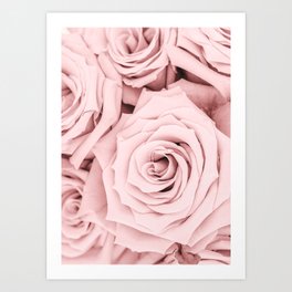 Pink Rose Flowers Art Print