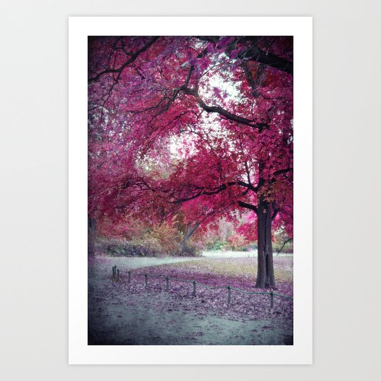 Pink Sunday Art Print