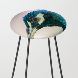 Peacock head against bright background Counter Stool