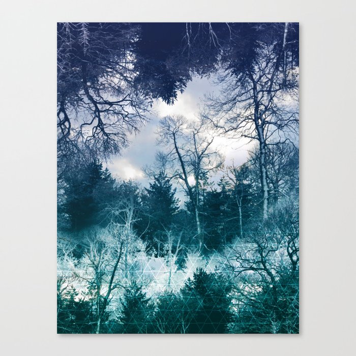 Moonlit Forest Canvas Print