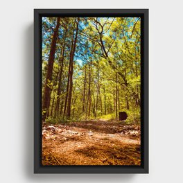 Forest Trail Framed Canvas