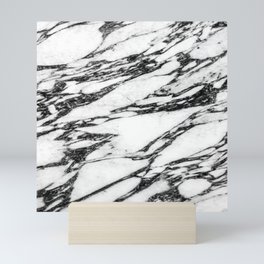 Modern Black and White Marble Stone Mini Art Print