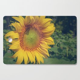 Beautiful sunflower blooming flower in the morning summer day Cutting Board