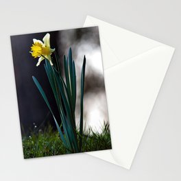 daffodil Stationery Cards