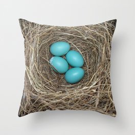 nest Throw Pillow