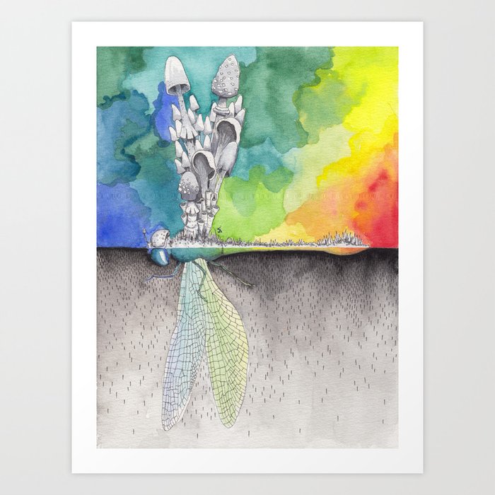 Rainbow Dragonfly Mushroom Watercolor Painting Art Print By