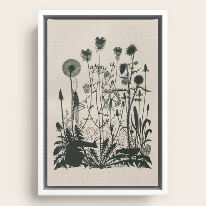 Framed Canvas