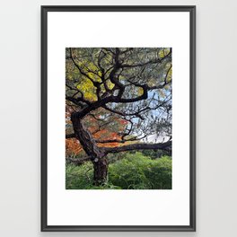 Muse for the Eyes and Soul Framed Art Print