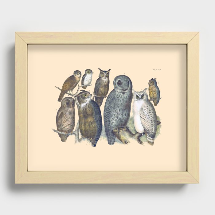 Recessed Framed Print