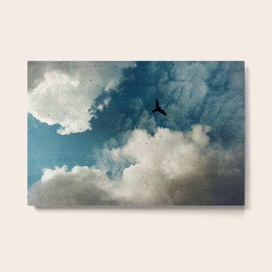 Same Old Sky Metal Print