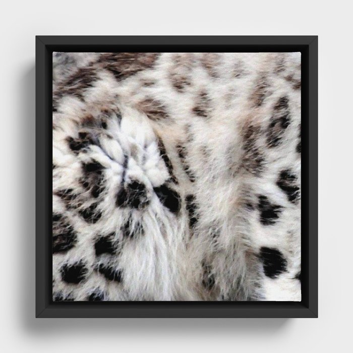 Snow Leopard Framed Canvas