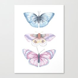 Howdy Butterflies Canvas Print