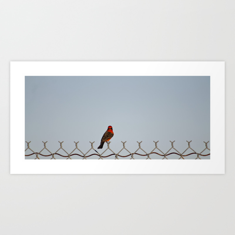Red Bird On A Wire Art Print By Jeremiahsstudio Society6