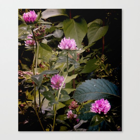 (c)lover of the shadow Canvas Print