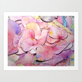 Hydrangea Flowers in Pink  Art Print