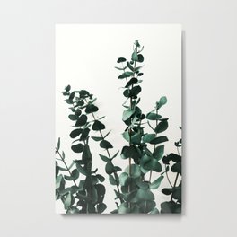 Eucalyptus Dark Green Metal Print