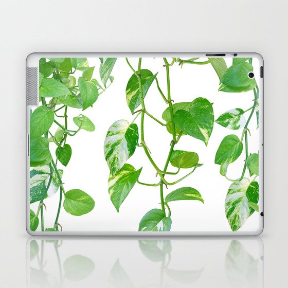 Golden Pothos Ivy Dream #1 #tropical #wall #art #society6 Laptop & iPad Skin