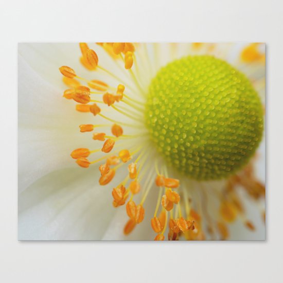 Green and Fluffy Canvas Print