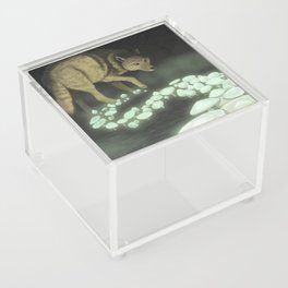 White Wolf Trailing Death Mushrooms Acrylic Box