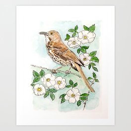 Georgia State Bird and Flower Art Print