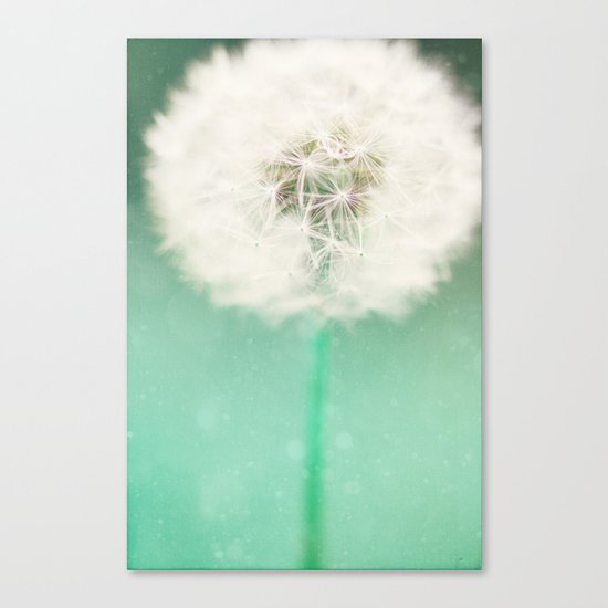 Dandelion Seed Canvas Print